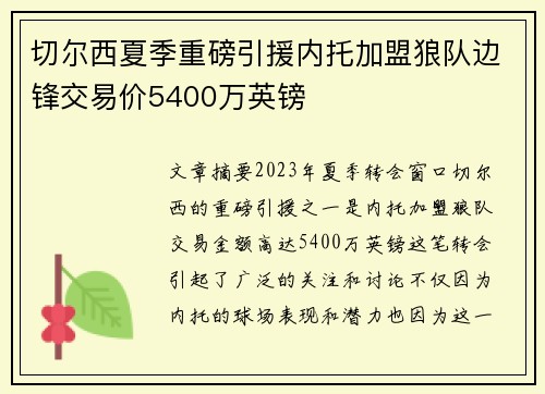 切尔西夏季重磅引援内托加盟狼队边锋交易价5400万英镑